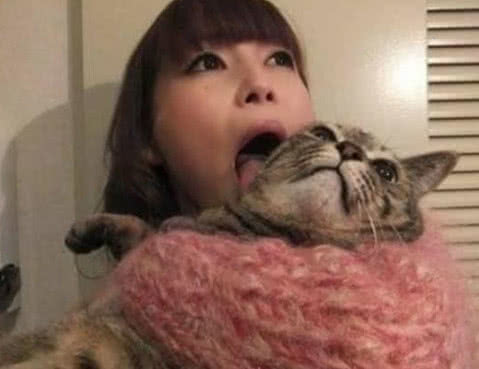 日本女子示范如何“吸猫”，动作浮夸网友议论纷纷！