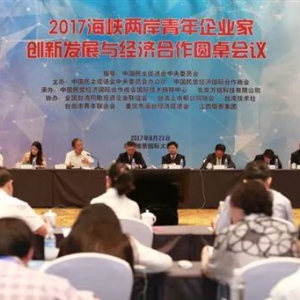 2017海峡两岸青年企业家创新发展与经济合作圆桌会议在京举行 ...